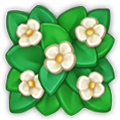 grass.png